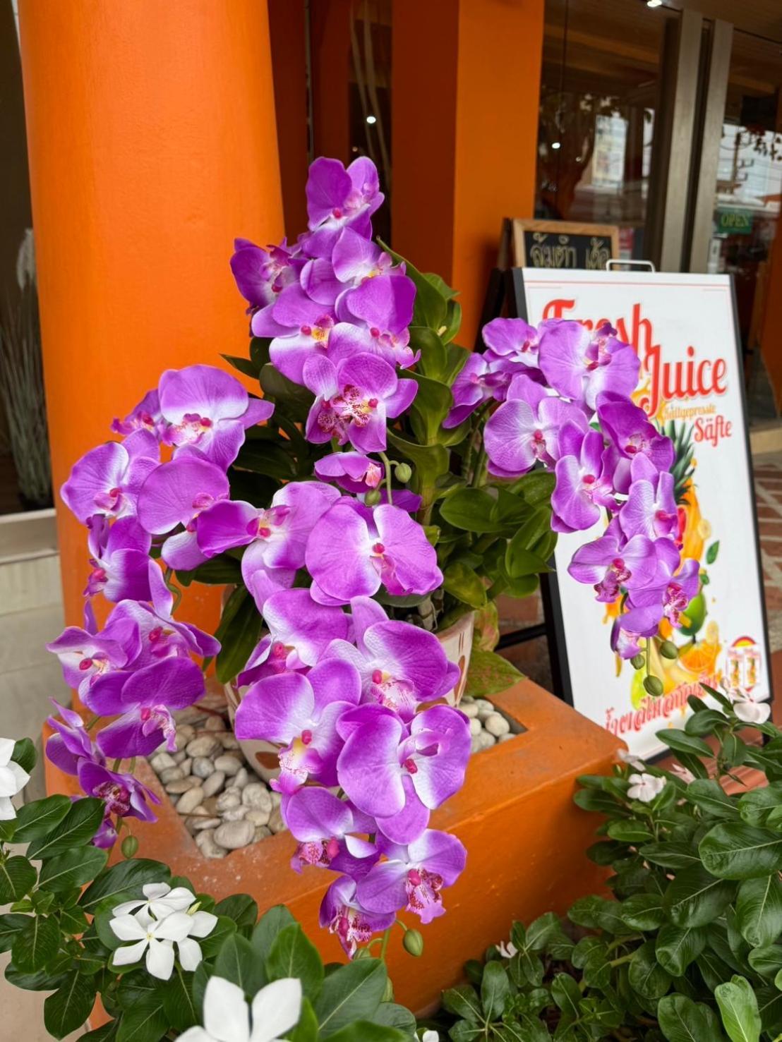 Venice Hotel HHQ Extérieur photo